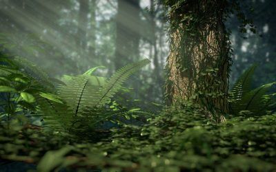 Virtual Nature