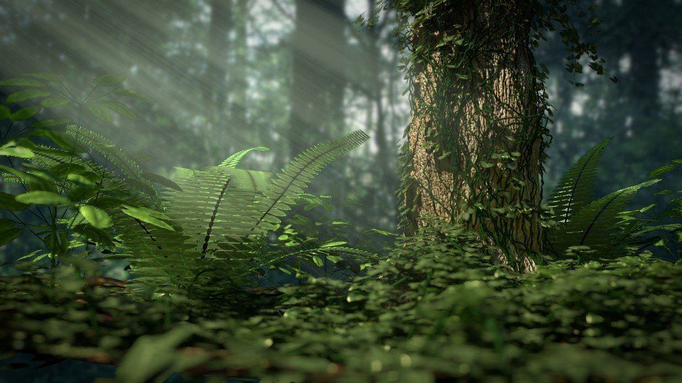 3D forest, from Nature Academy